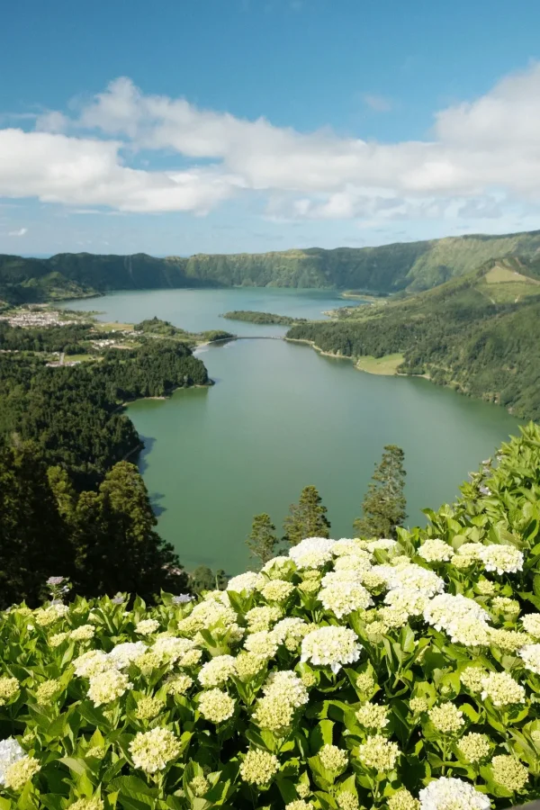 Um Olhar Real na Vista do Rei 