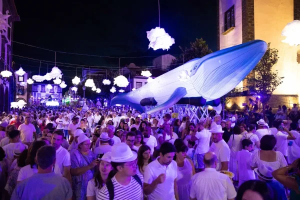 PDL White Ocean