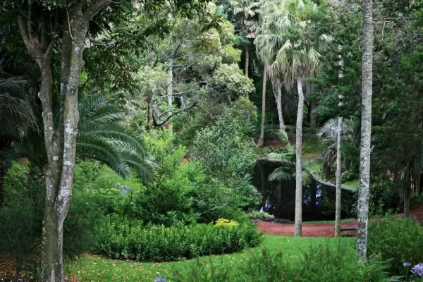 Jardim Botânico António Borges