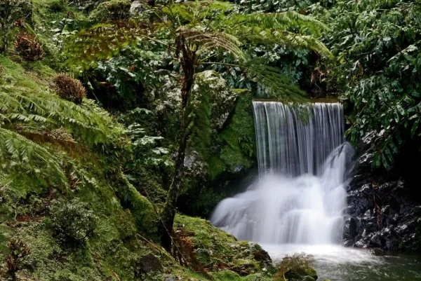 Parque Natural da Ribeira dos Caldeirões