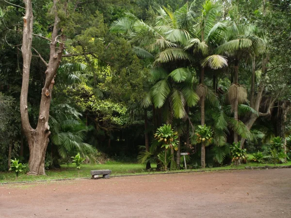 Jardim Botânico José do Canto 