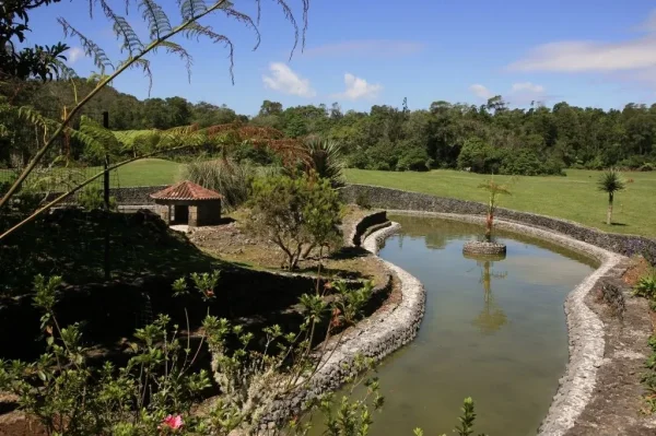Reserva Florestal de Recreio do Pinhal da Paz